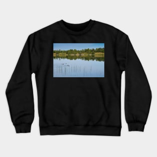 Ducks on a Lake Crewneck Sweatshirt